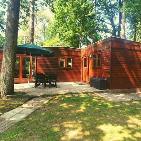 Chalet L2 Dennenrhode Doornspijk Zewnętrze zdjęcie