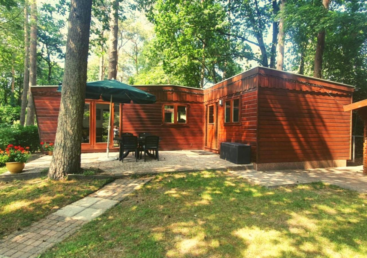 Chalet L2 Dennenrhode Doornspijk Zewnętrze zdjęcie
