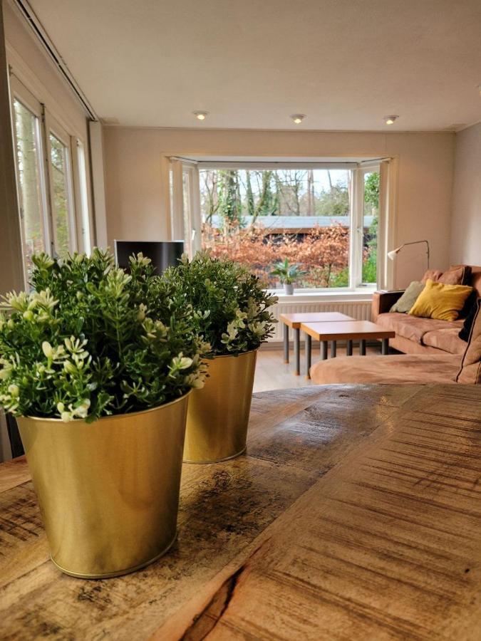 Chalet L2 Dennenrhode Doornspijk Zewnętrze zdjęcie